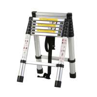 double side telescopic ladder